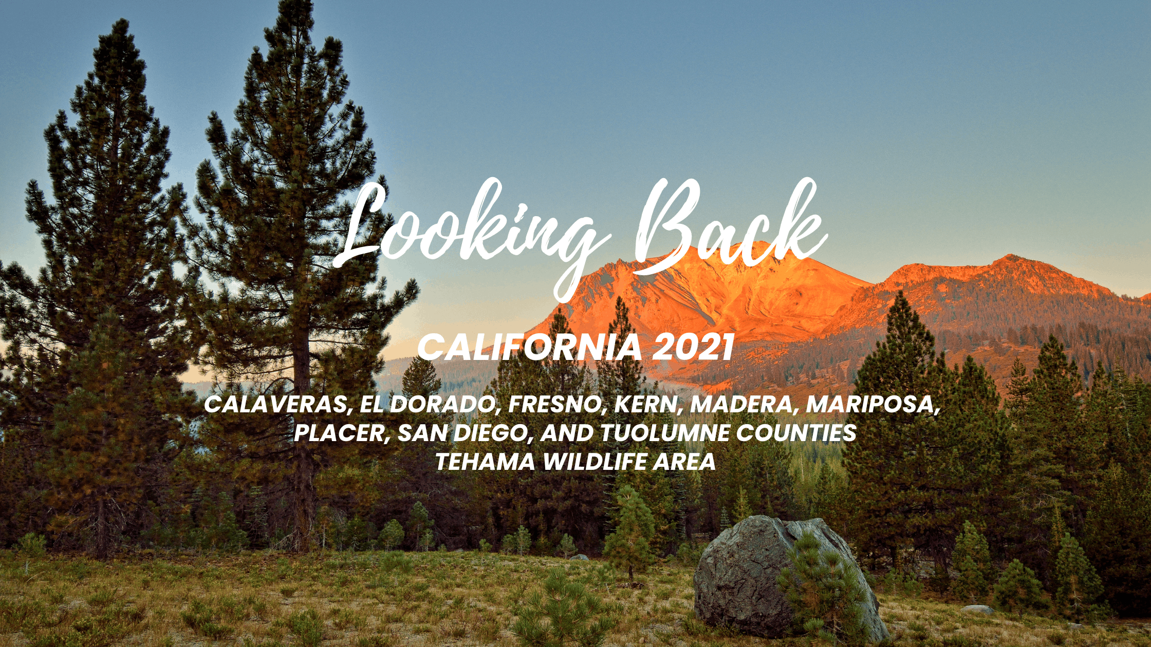 Looking Back: California Wildfire Recovery (2021-2022)