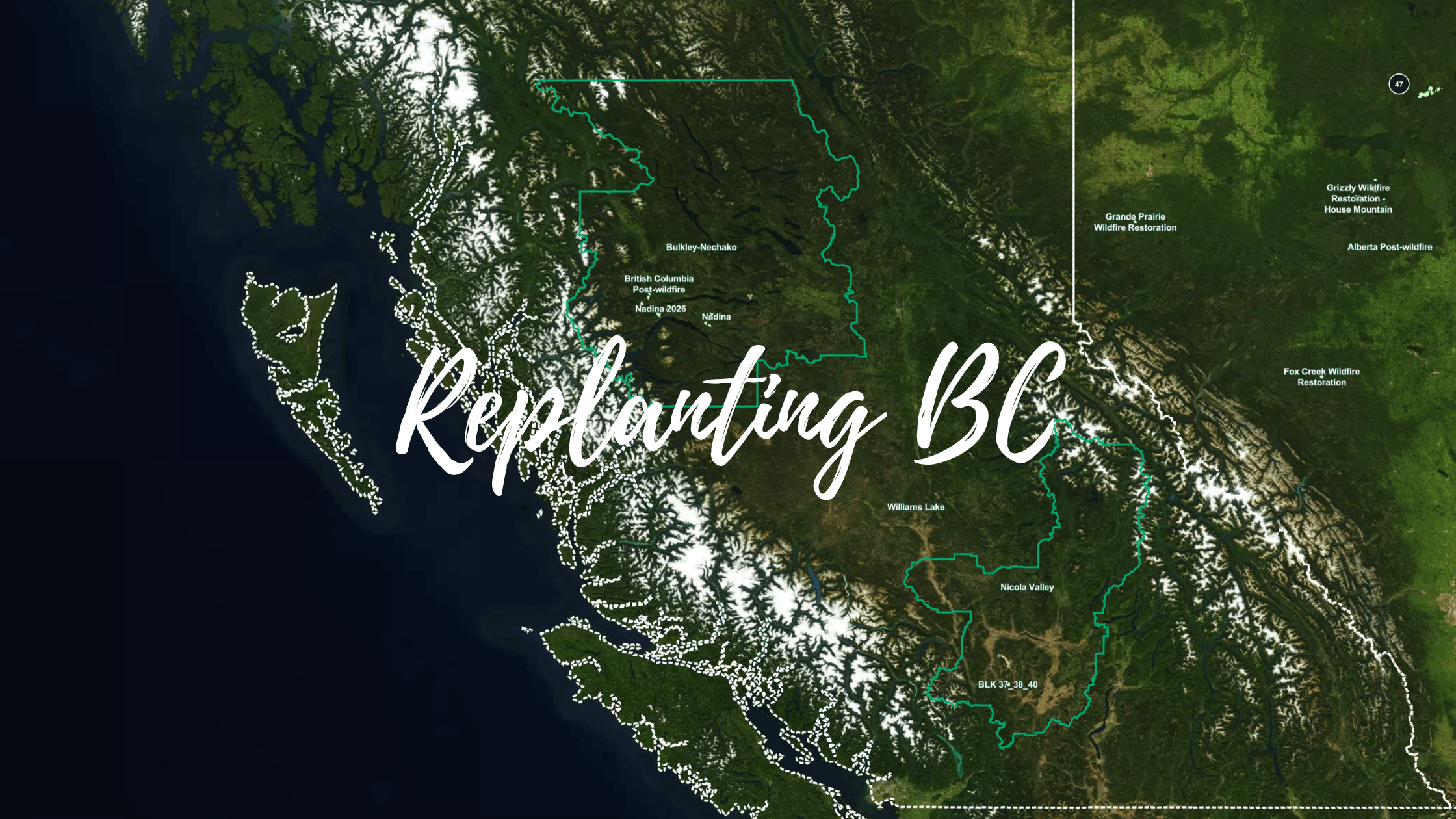 Replanting BC: Verified Memorial Tree Planting in British Columbia