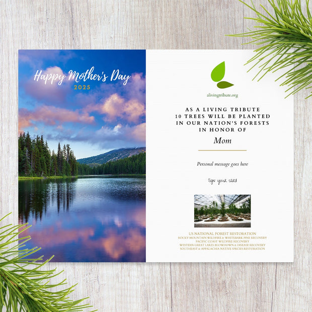 Plant a Tree Mother's Day Card