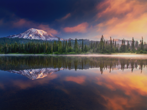 Washington State Reforestatiom