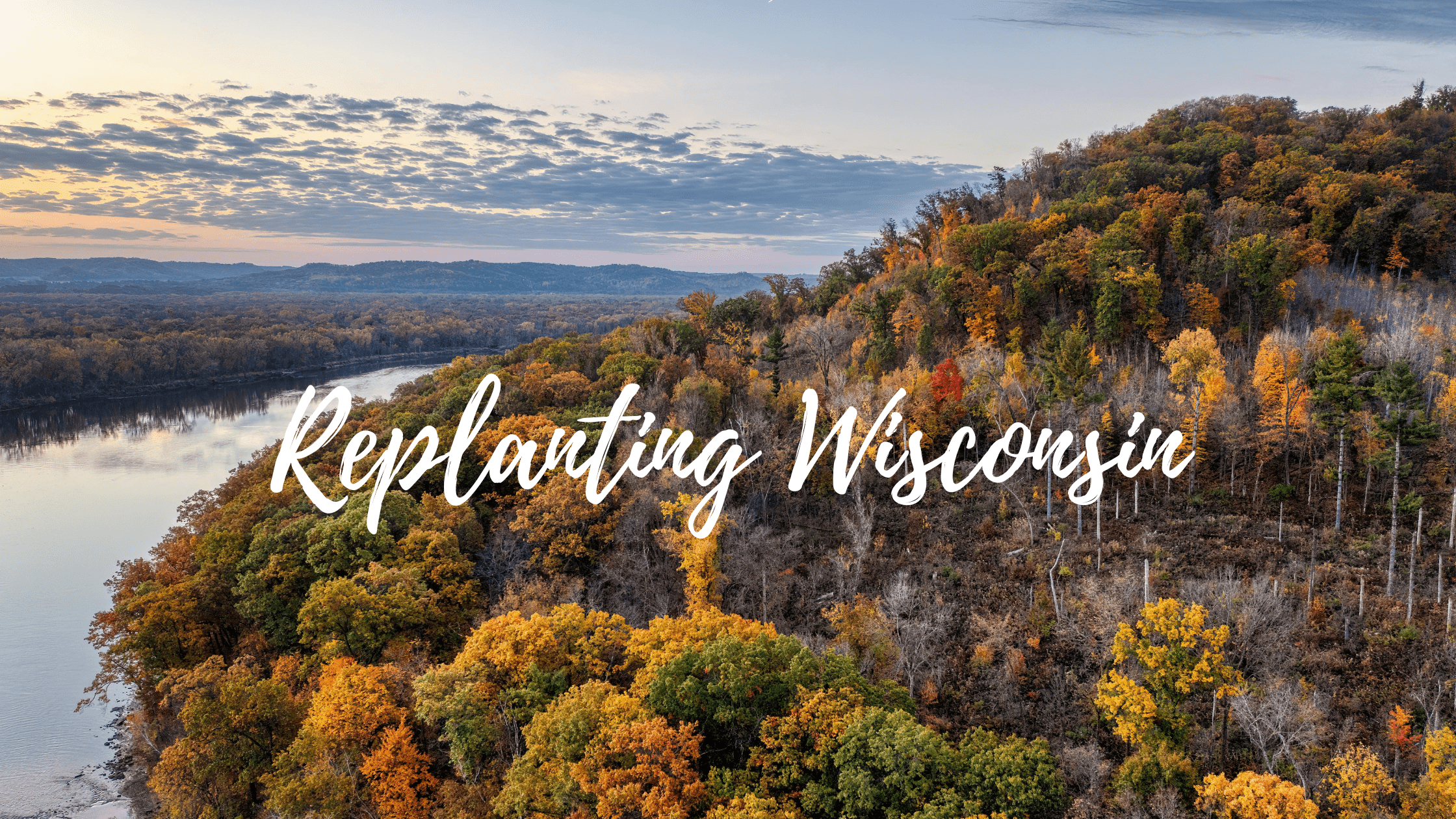 Restoring Wisconsin’s Forests: White Pine, Red Oak, Hemlock & Tamarack Take Root