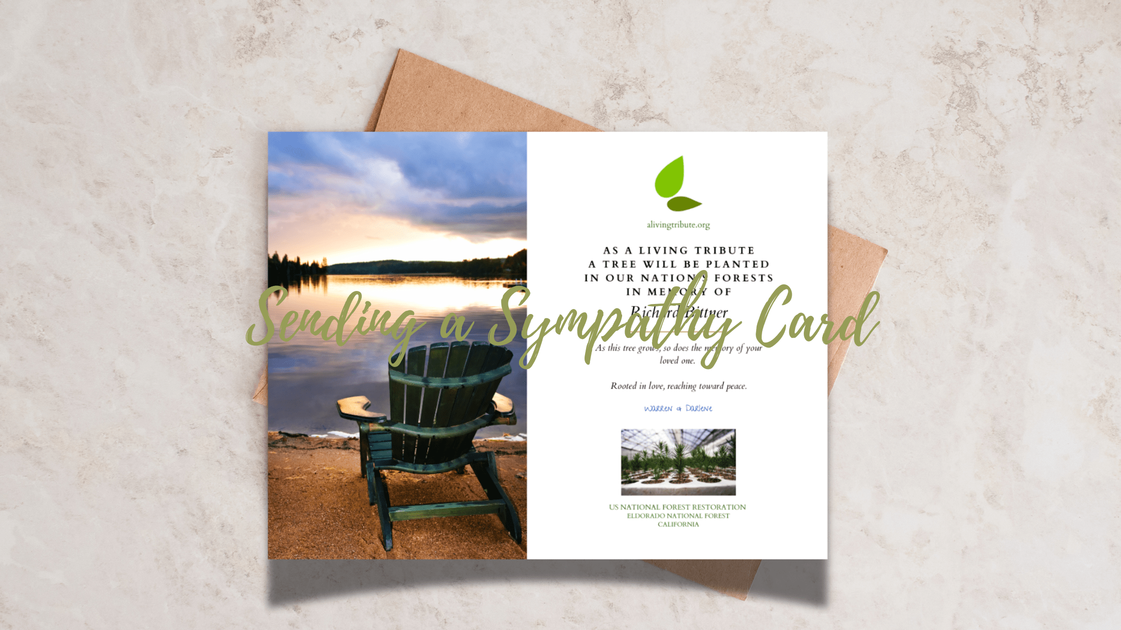 Send a Sympathy Card That Plants a Tree