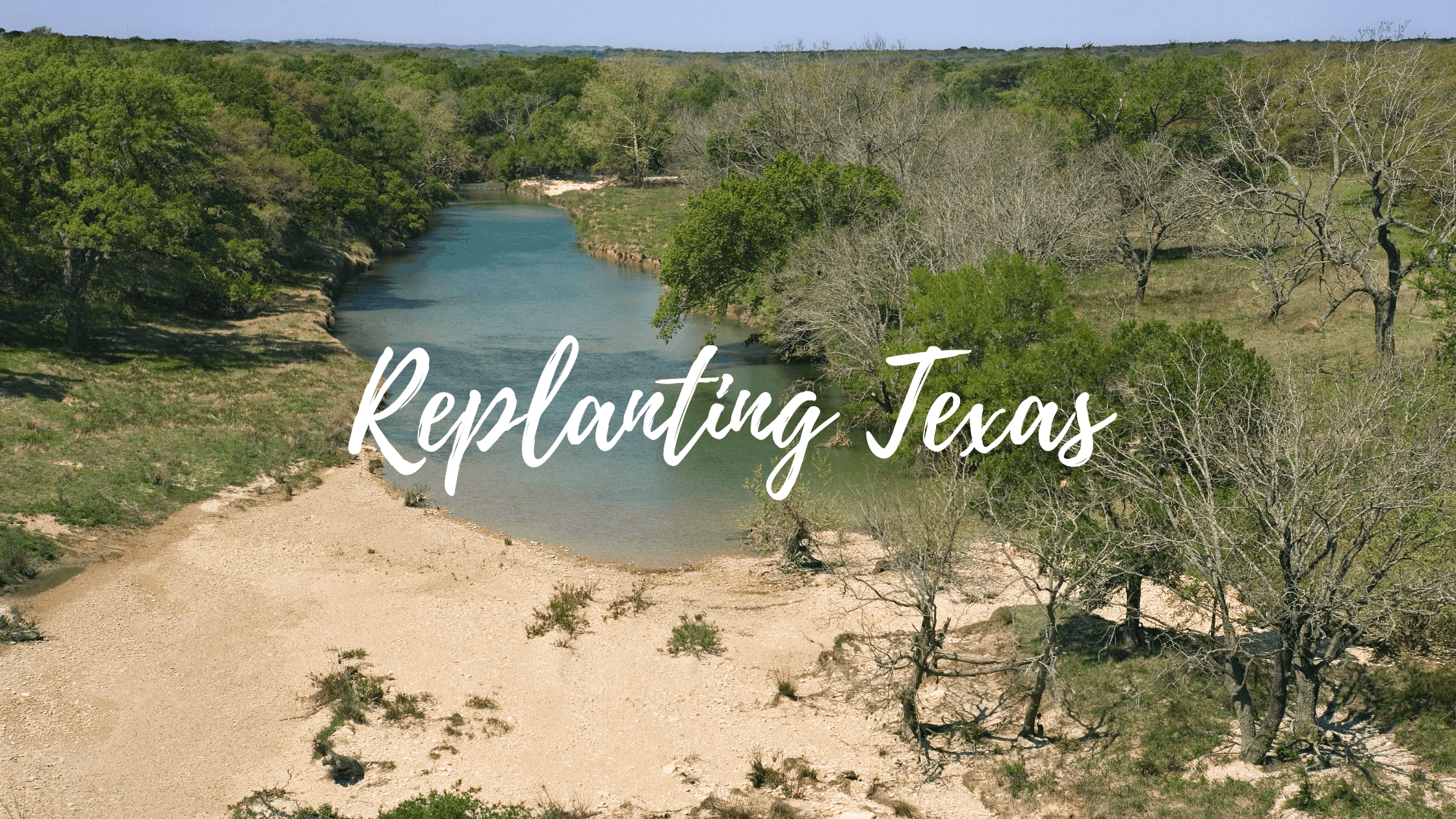Replanting Texas: Inside Floodplain Reforestation Efforts
