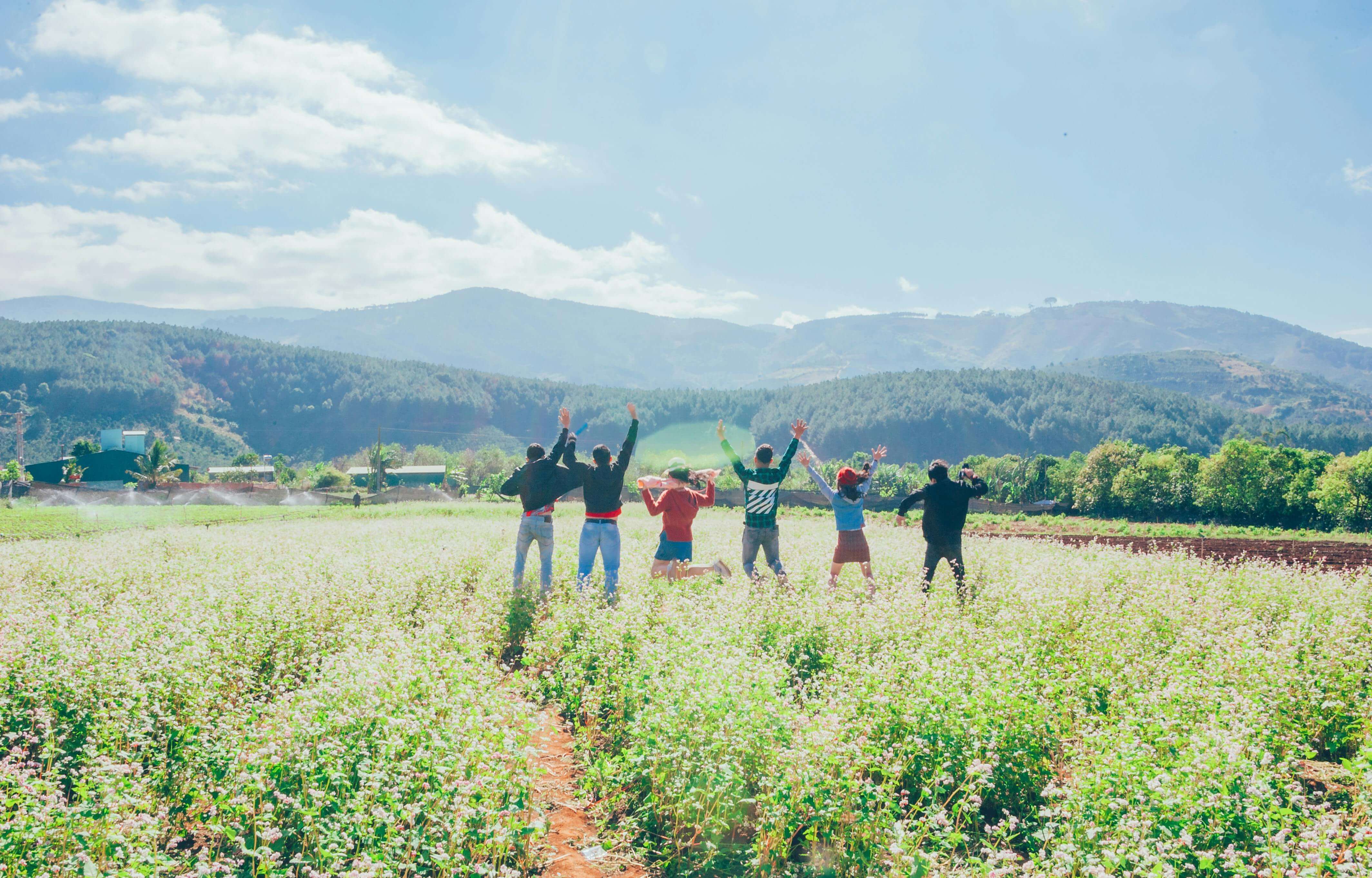 Group Memorial Tree Planting - Community Tributes for Shared Loss