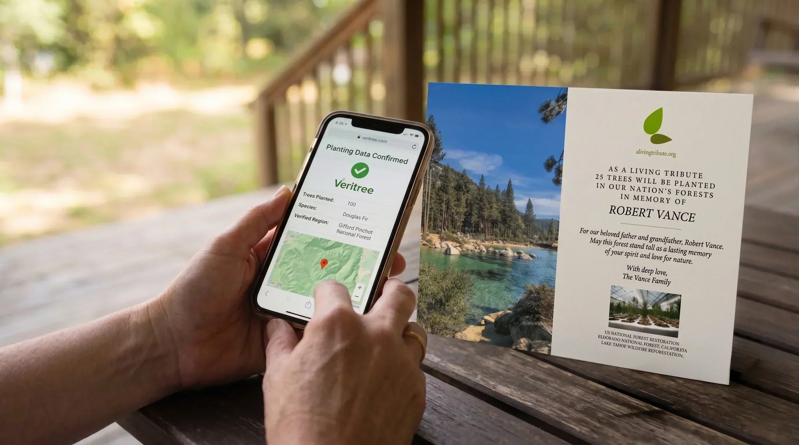 Verified Tree Planting: How We Verify Every Memorial Tree