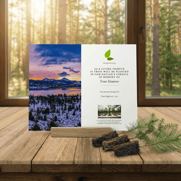 Memorial card with tree planting message on a wooden surface with a scenic background