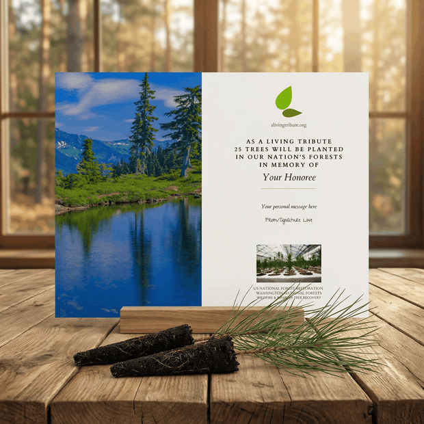 Memorial tree card with nature scene of Washington National Forests and text on a wooden surface
