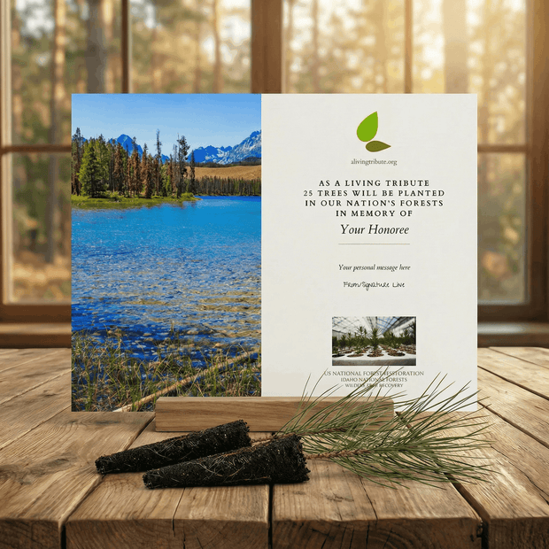 Memorial card with nature scene and text on a wooden surface