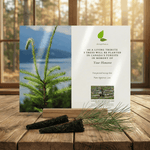 Memorial tree planting card with a tree sapling and scenic background on a wooden surface.