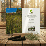 Memorial card for planting trees in memory of a deceased person on a wooden surface with a blurred forest background.