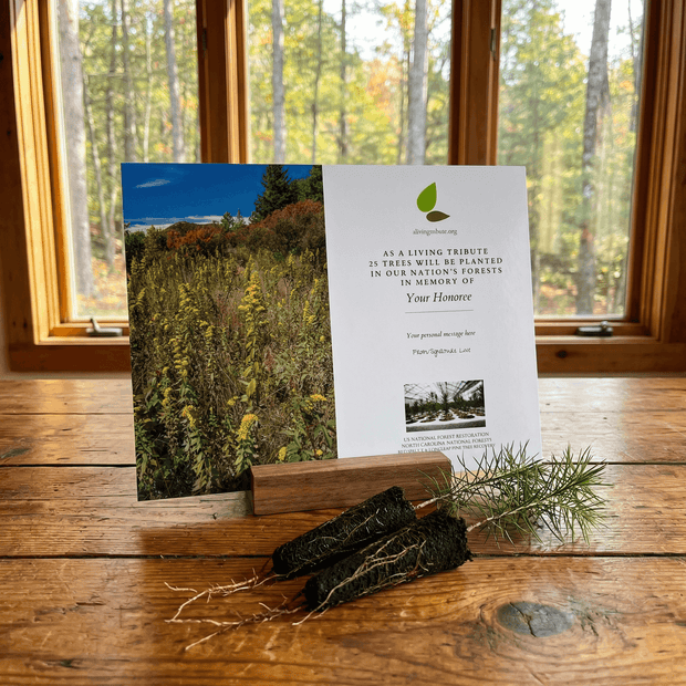 Card with nature-themed design on a wooden surface with a window view of trees.