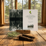 Memorial card for planting trees in memory of a loved one on a wooden table with a forest view.