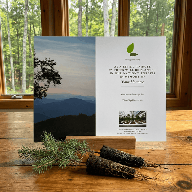 Memorial tree planting card with nature-themed design on a wooden surface.