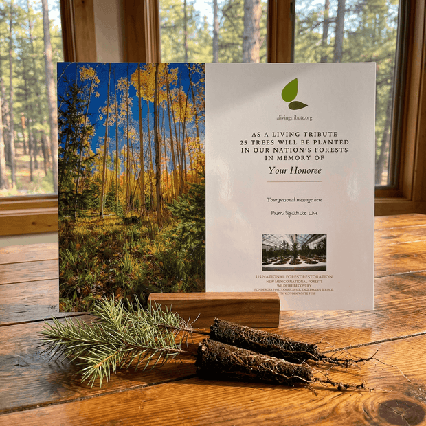 Memorial tree planting card with forest image on a wooden surface