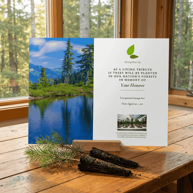 Promotional card for a tree-planting initiative with a scenic lake and forest background on a wooden surface.