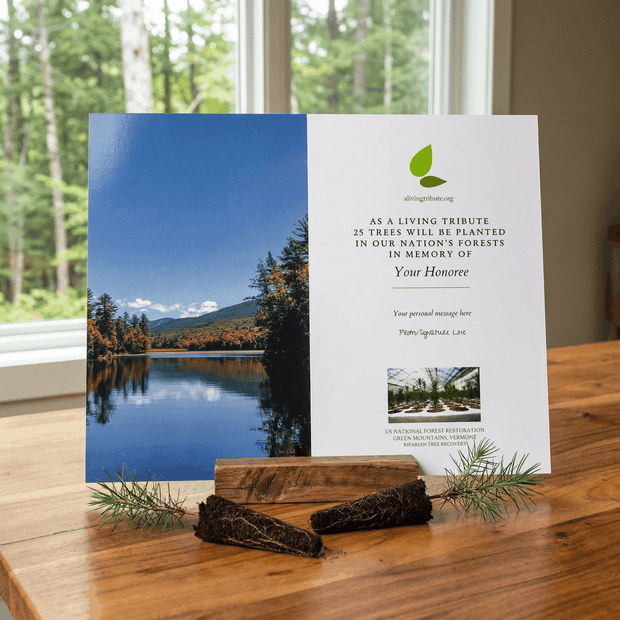 Memorial card with nature scene and text on a wooden surface