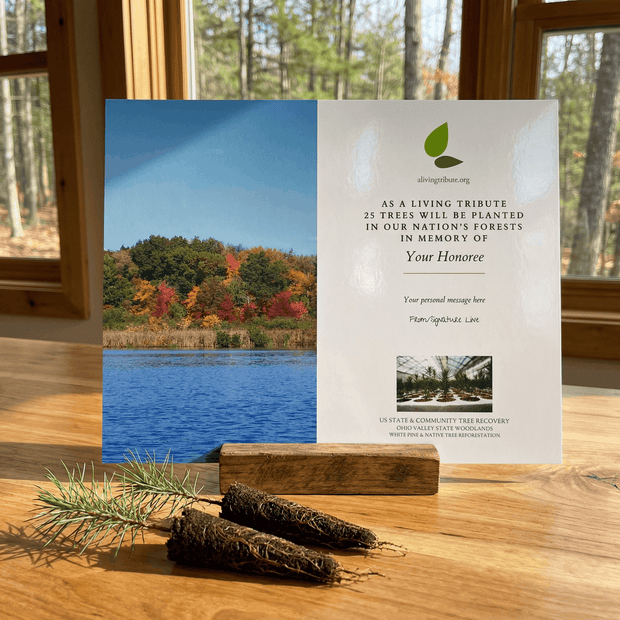 Memorial tree planting card with scenic lake and forest background on a wooden surface.