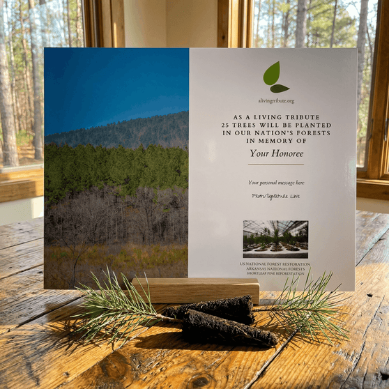 Plant a Tree in Memory Arkansas