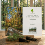 Memorial card with autumn forest scene and tree sapling on a wooden surface.