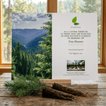 Memorial tree planting card with scenic forest background on a wooden surface.