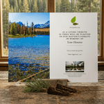 Memorial card with nature scene and text on a wooden surface