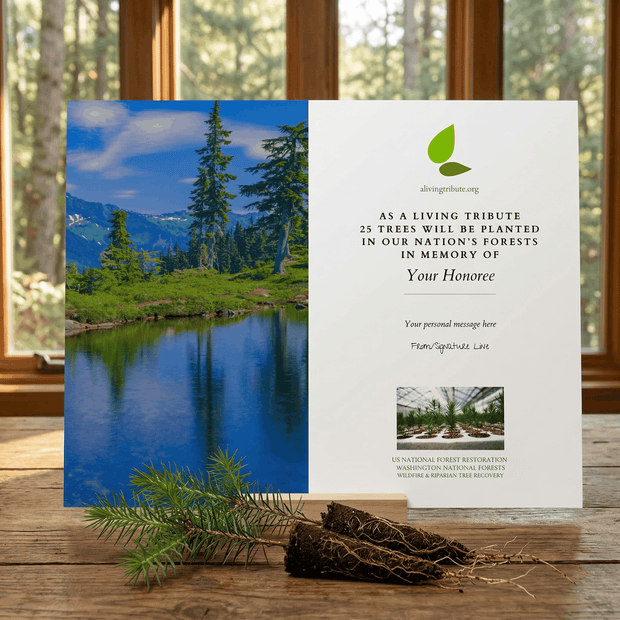 Washington State memorial tree card with nature-themed design and text on a wooden surface with a window background