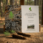 Memorial card for planting trees with a small sapling and roots on a wooden surface.