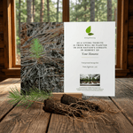 Memorial tree planting card with tree and roots on a wooden surface
