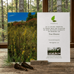 Memorial card for tree planting tribute with nature background