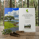 Memorial tree planting card with scenic landscape and text on a wooden surface.