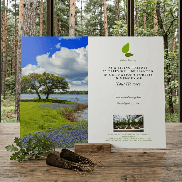 Memorial tree planting card with scenic landscape and text on a wooden surface.