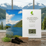 Memorial plaque with scenic view of a lake and mountains, accompanied by tree saplings on a wooden surface.