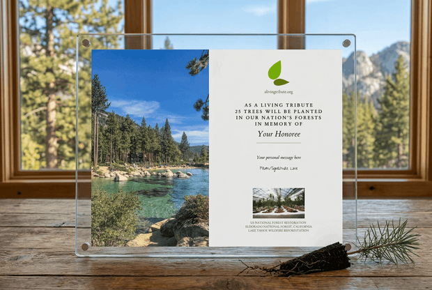 Diamond glass memorial tree plaque with scenic view of a lake and trees, placed on a wooden surface.