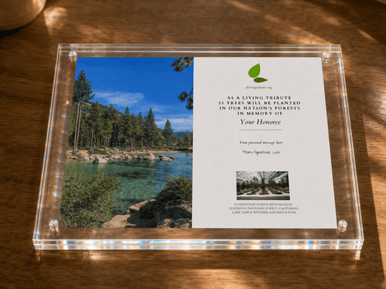 Plant a Tree - Crystal Tribute Tree Planting Gift