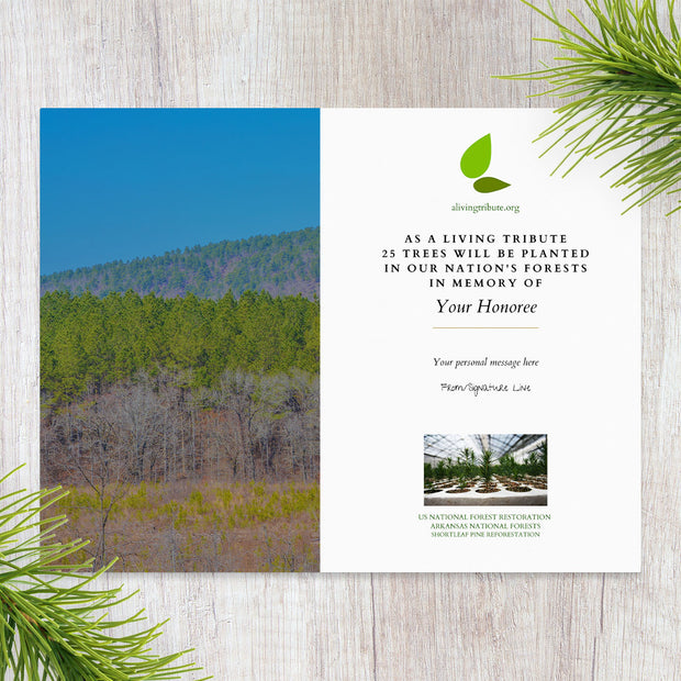 Plant a Tree in Memory Arkansas