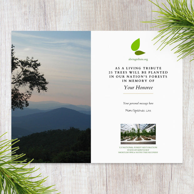Plant a Tree for Someone in Kentucky