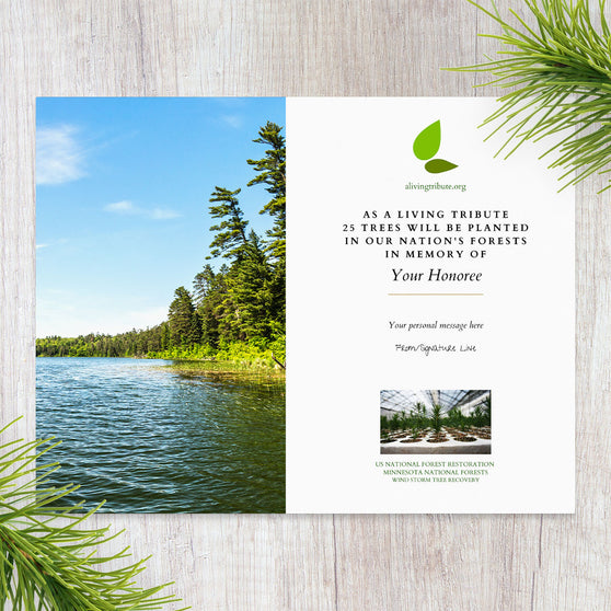 Plant a Tree in Memory Minnesota