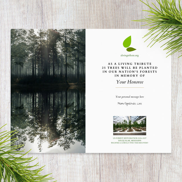 Plant a Tree for Someone in MS