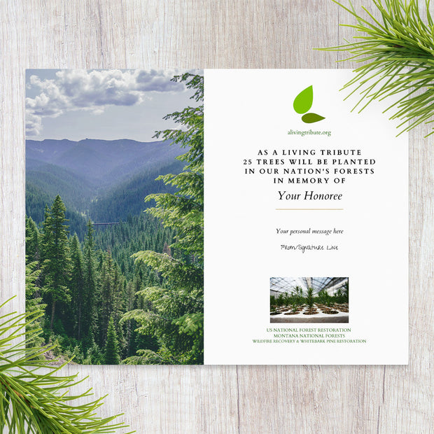 Plant a Tree in Memory Montana