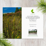 Plant a Tree for Someone in NC