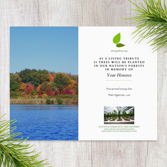 Plant a Tree in Ohio