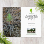 Plant a Tree for Someone in SC