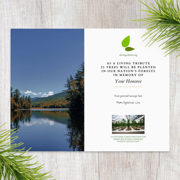 Plant a Tree in Vermont - A Living Tribute