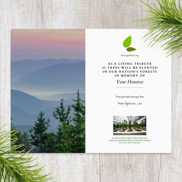 Plant a Tree for Someone in West Virginia