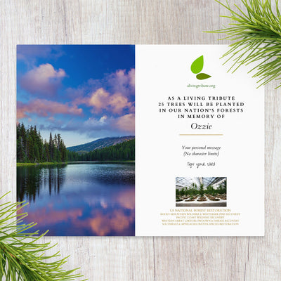 Pet Loss Memorial Tree Gift - Plant a Tree in Memory in a National Forest & Send a Personalized Card