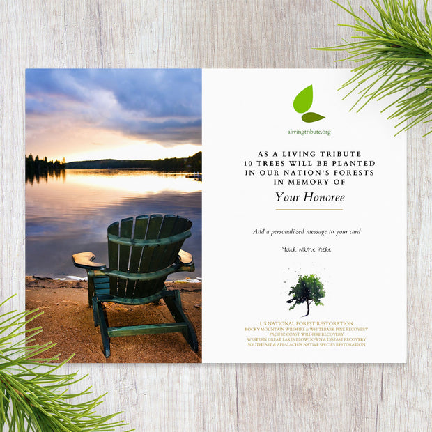 Tree Planting in a US National Forest with Mailed Sympathy Greeting Card