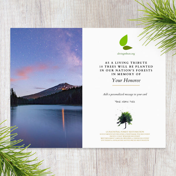 Tree Planting in a US National Forest with Mailed Sympathy Greeting Card