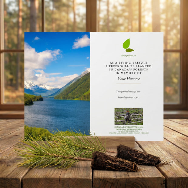 Memorial card with nature scene and tree planting information on a wooden surface.