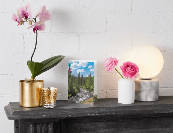 Plant a Tree Cards from A Living Tribute