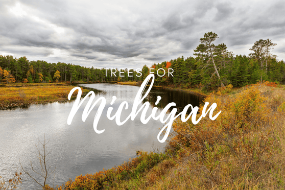 Plant a Tree in Memory Michigan